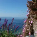 Bed & Breakfast Punta Cutieri Gallipoli