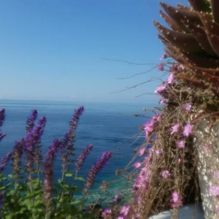 Bed & Breakfast Punta Cutieri Gallipolli