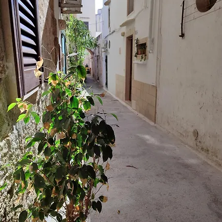Bed & Breakfast Punta Cutieri