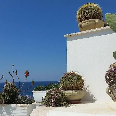 Punta Cutieri Отель типа 