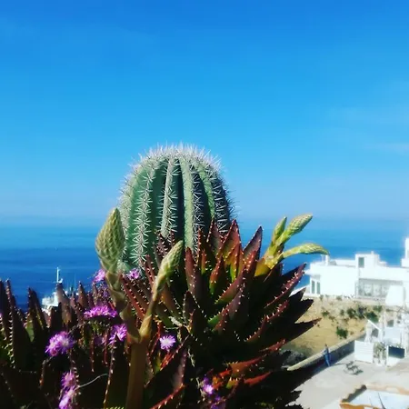 Alojamento de Acomodação e Pequeno-almoço Punta Cutieri 4*