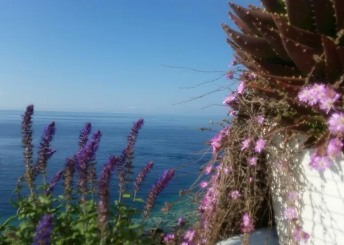 Bed & Breakfast Punta Cutieri Gallipoli